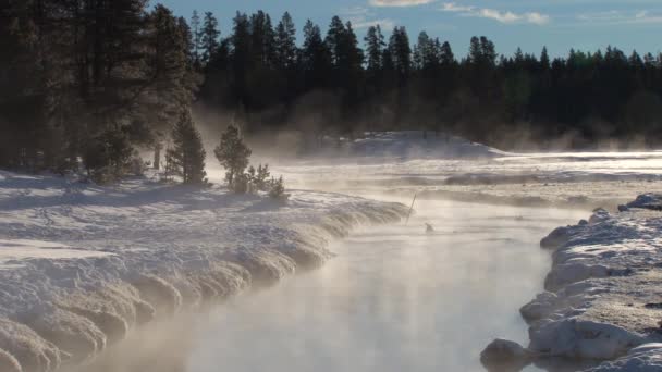 Зима в Йеллоустонском национальном парке — стоковое видео