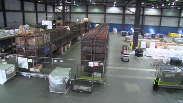 Ingevoerde goederen die in een pakhuis opgeslagen — Stockvideo