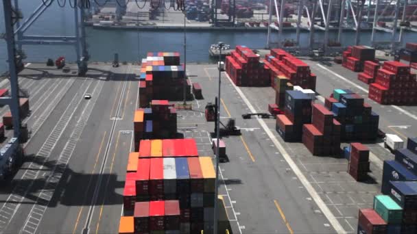 Actividad en un puerto de contenedores — Vídeos de Stock