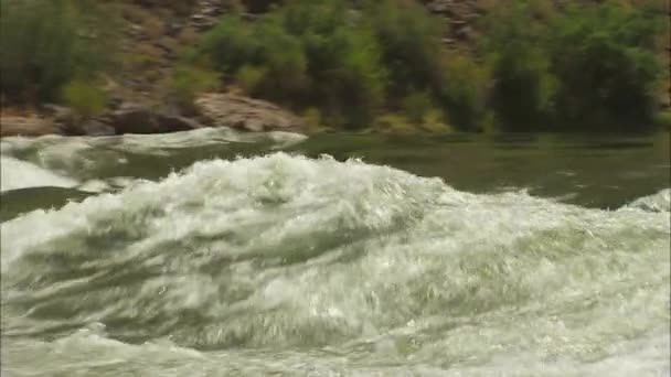 Las vigas de Wter navegan por el Gran Cañón — Vídeo de stock