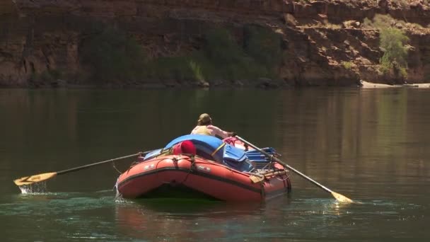 Les chevrons naviguent dans le Grand Canyon — Video