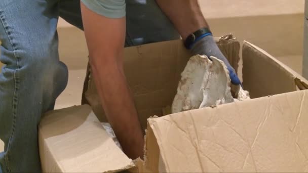 Agents confiscate dinosaur bones — Stock Video