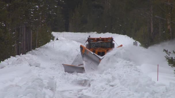 Snowplow czyści drogi — Wideo stockowe