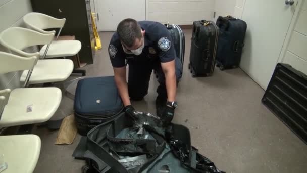 Security agents search for drugs — Stock Video