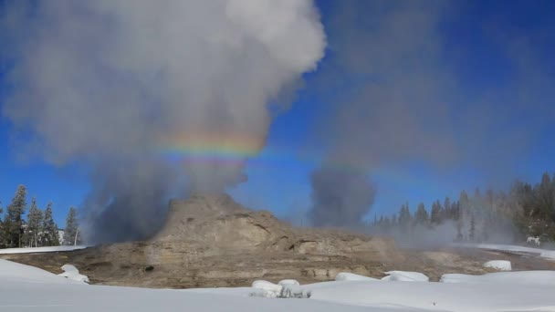 Een geothermische regio in Yellowstone National Park — Stockvideo