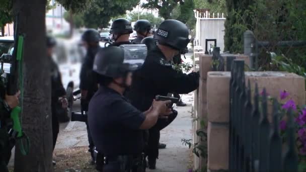 Police and Homeland Security agents — Stock Video