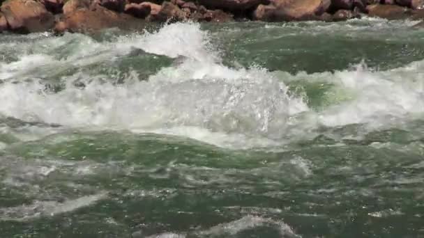 White water on the Colorado River — Stock Video