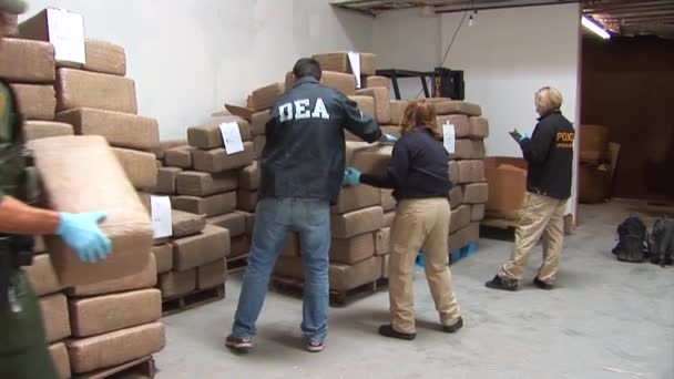 Dea beschlagnahmt tausende Drogen — Stockvideo
