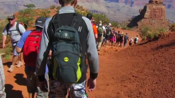 Gli escursionisti esplorano il Grand Canyon — Video Stock