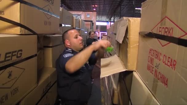 Security agents search for drugs — Stock Video