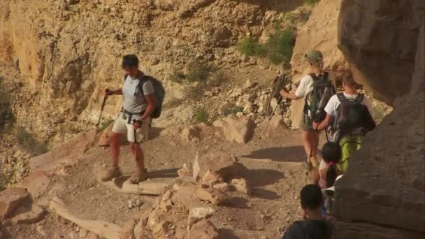 Rangers leading a hiking group — Stock Video