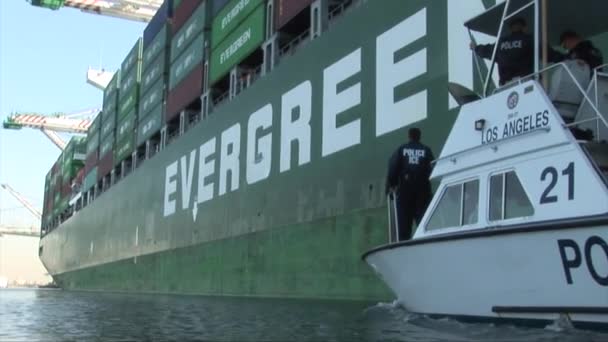 Agentes a bordo de um navio para pesquisar produtos — Vídeo de Stock