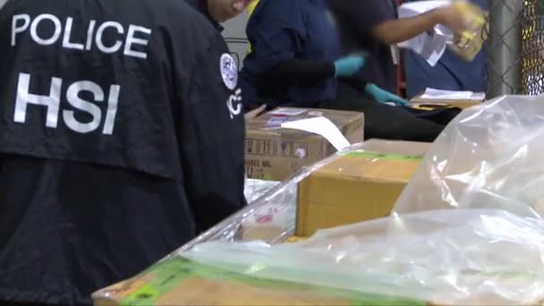 Agents customs seize fake — Stock Video