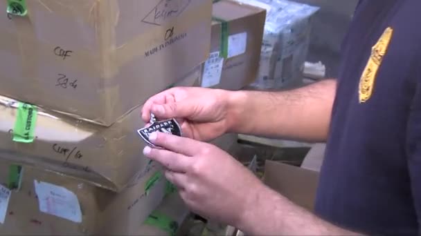 Agents customs seize fake — Stock Video