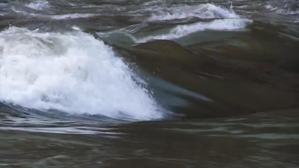 Wildwasser auf dem Fluss Colorado — Stockvideo