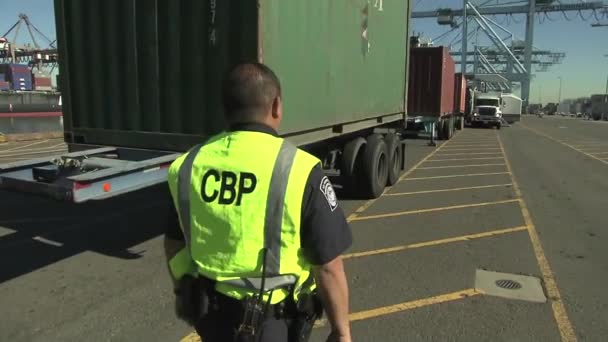 Agentes de aduanas estadounidenses inspeccionan productos — Vídeo de stock