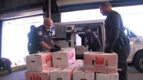 Agenten van de US customs inspecteren producten — Stockvideo