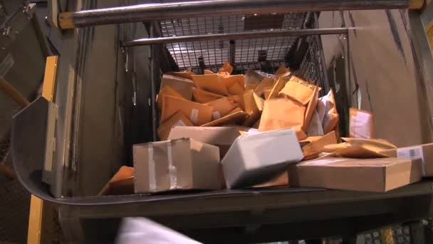 US mail en pakketten worden gesorteerd — Stockvideo