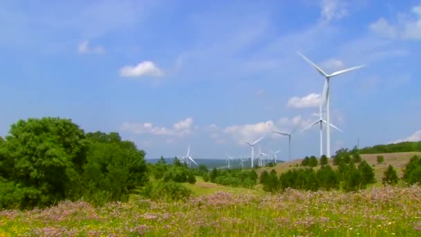Energía eólica forma limpia de electricidad — Vídeo de stock