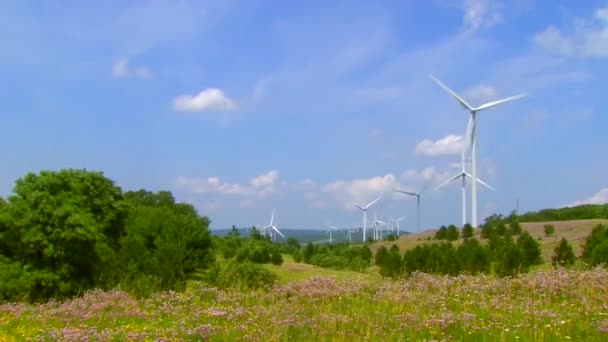 Rüzgar elektrik enerji temiz biçimi — Stok video