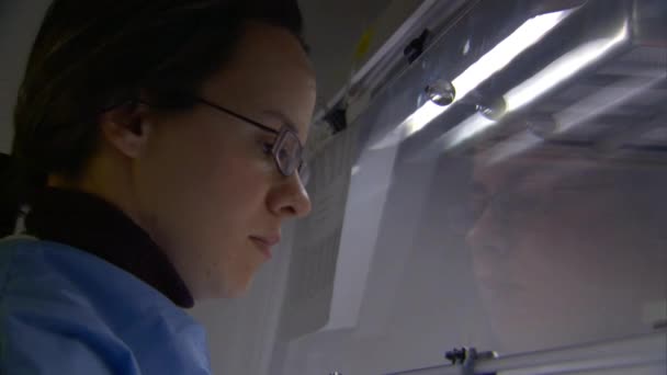 Вчений виконує лабораторні аналізи — стокове відео