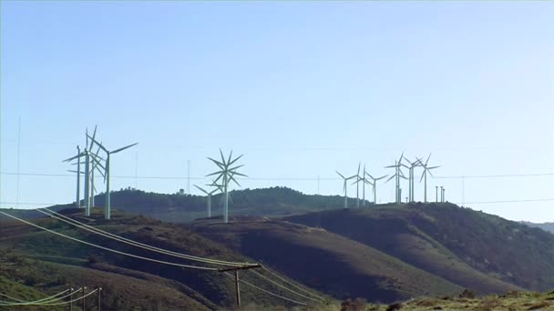 Wind farm near Tehachapi — Stock Video