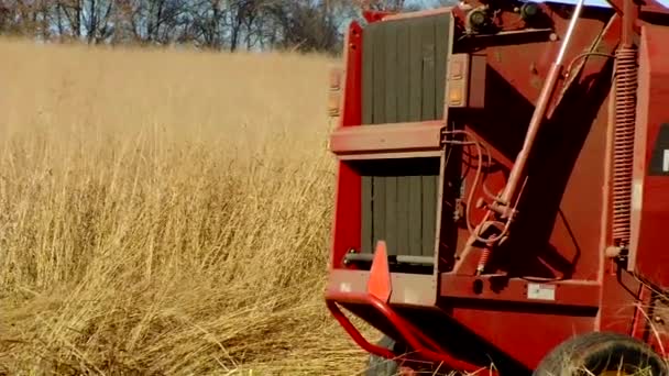 Agricultor haciendo fardos de heno — Vídeo de stock