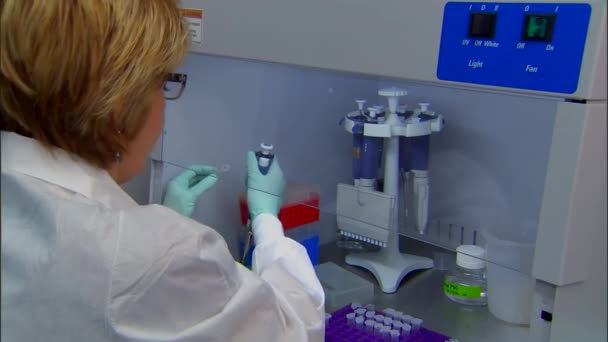 Oamenii de știință lucrează în tulpini de meningită virală — Videoclip de stoc