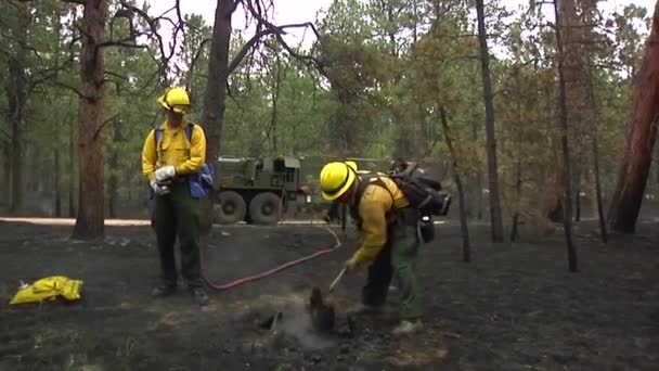 Bombeiros limpam após fogo — Vídeo de Stock