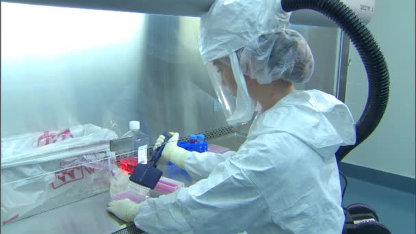 Scientist tests pathogenic avian influenza — Stock Video