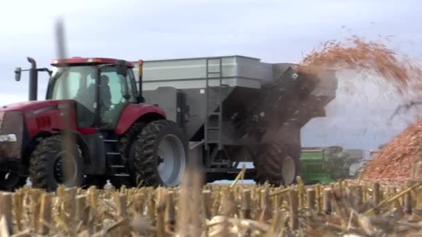 Le biocarburant est développé à partir de maïs . — Video