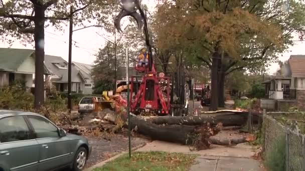 Storm damaged areas of the city — Stock Video