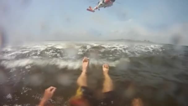 Вид на жертву в воде — стоковое видео