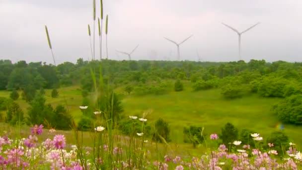 Energia eolica forma pulita di elettricità — Video Stock