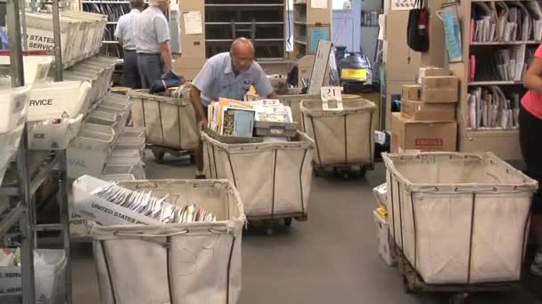 Mail is handled and sorted — Stock Video