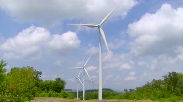 電気の風エネルギーのクリーン フォーム — ストック動画