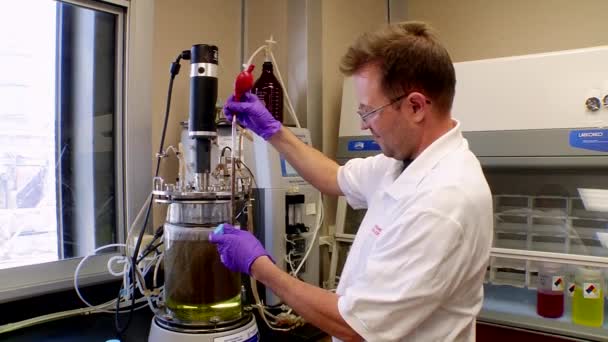トウモロコシによって基づくエタノール燃料をテストします。 — ストック動画