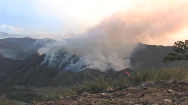 コロラド州の高い公園の火 — ストック動画