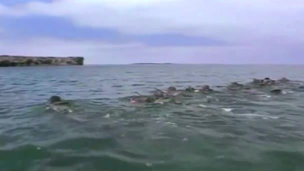 海军海豹攻击力 — 图库视频影像