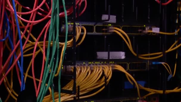 Kabel und Verkabelung verbindet Server — Stockvideo