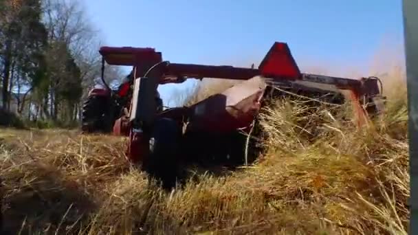 Feno de corte de agricultor — Vídeo de Stock