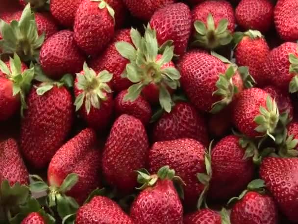 Strawberries rotating close up — Stock Video