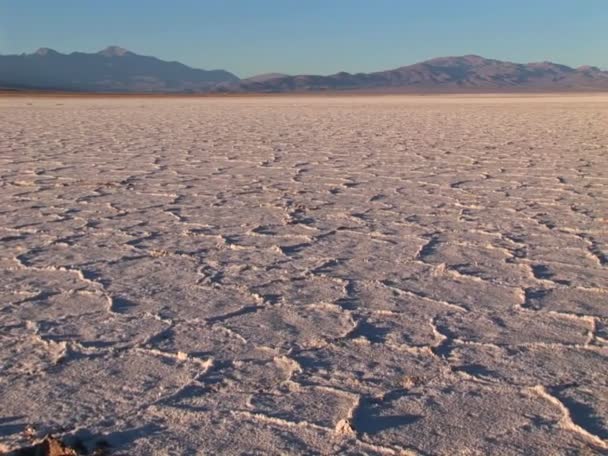 Salar Piso en Alto Plano Argentina — Vídeo de stock