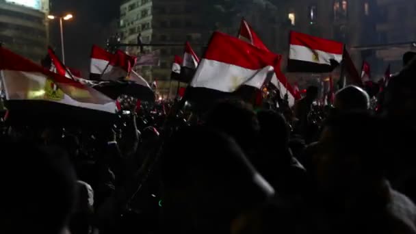 Protesters chant and wave flags — Stock Video