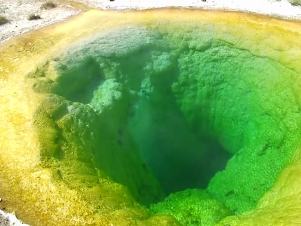 Una piscina verde per fumatori — Video Stock