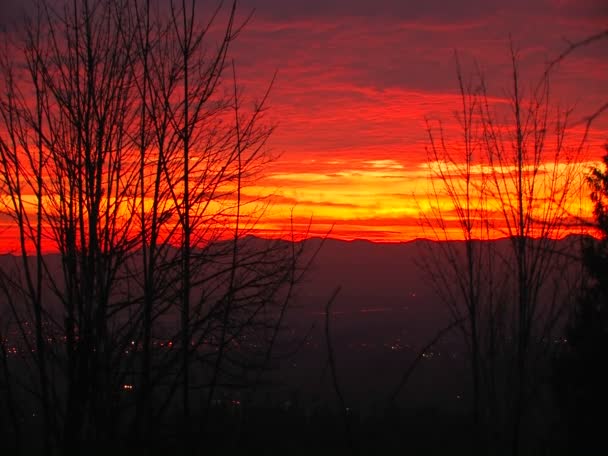 Un tramonto multicolore dietro la silhouette degli alberi . — Video Stock