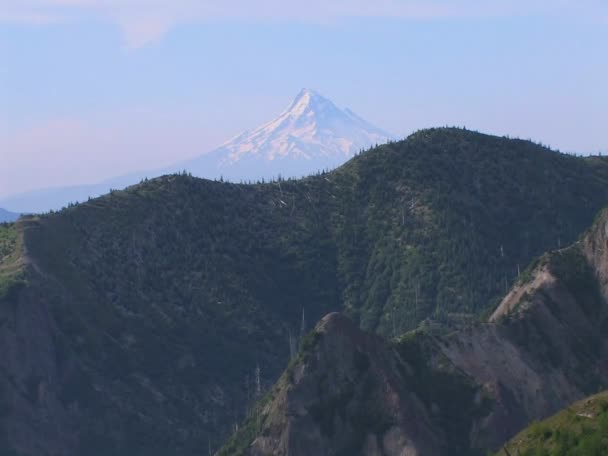 Snow-capped mountain rises above forest — Stock Video