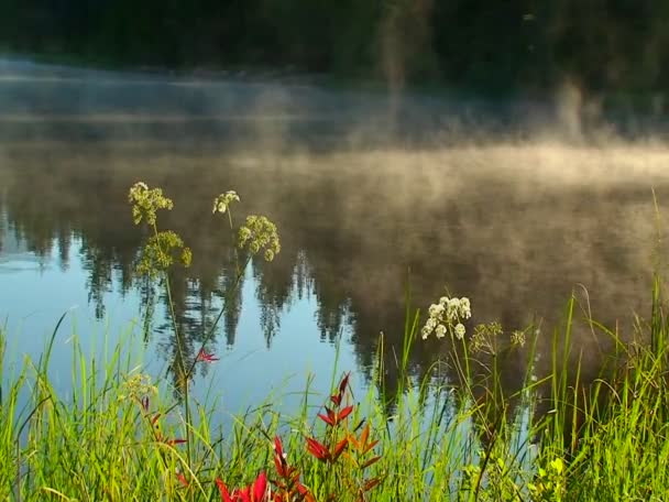 Steam rises from Trillium Lake — Stock Video