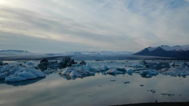 Icebergs float in a glacier lagoon — Stock Video