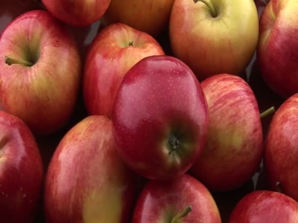 Las manzanas se sientan en la mesa — Vídeo de stock